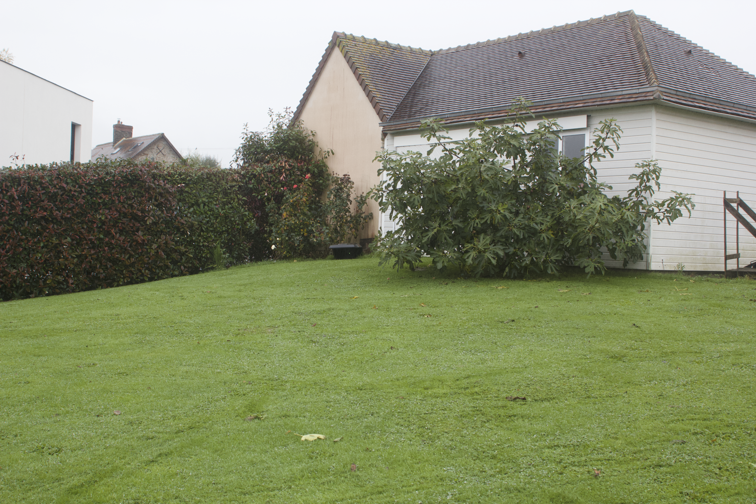 extérieur + jardin